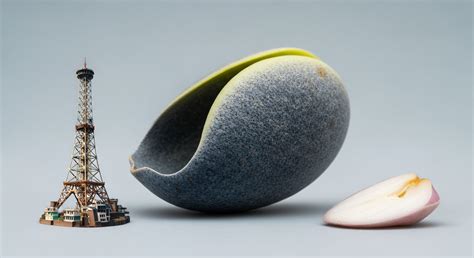 Recombinant Protein Expression → Area → Sustainability