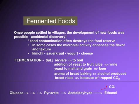 Ancient Biotechnology 的图像结果