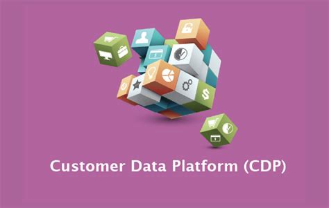 CDP Languages 的图像结果