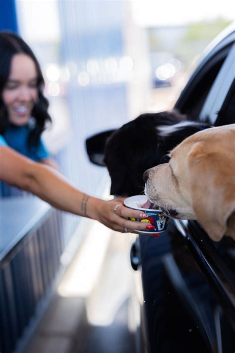 Dutch Bros Coffee in El Centro, CA 92243 - (877) 8...