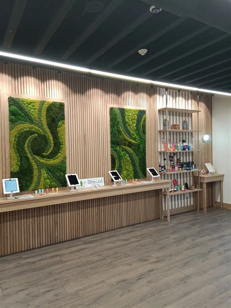 Indica Marijuana Strains 的图像结果