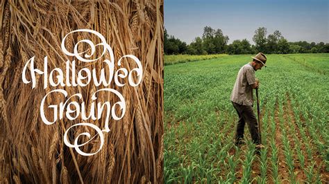 Migrash Farm Puts Its Hallowed Ground Before Its Harvest