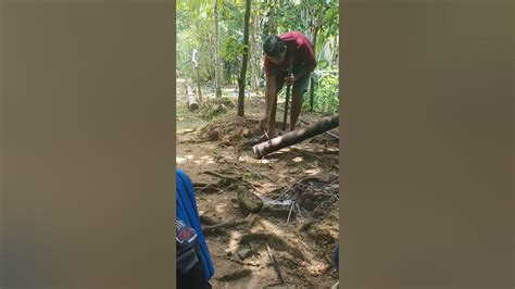 Image result for Course Line Up Examples