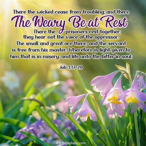 Job 3:17-20 KJV - KJV Bible Verses