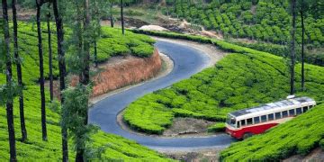 Best Munnar Tour Package for 6 Days from Cochin | cochin, munnar ...