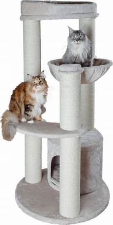 arbre a chat ikea 74664 arbre 224 chat carlos pour grands chats arbre a chat ikea 74664 arbre 224 chat carlos pour grands chats