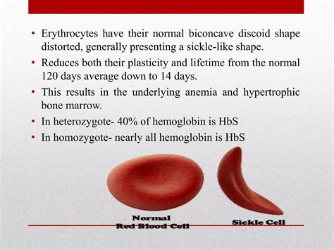 Image result for Haemoglobin Disorders