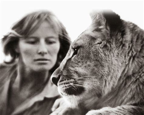 When Was Born Free Filmed