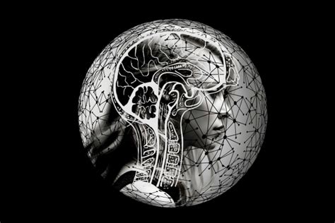 Image result for Operational Definition Life Example