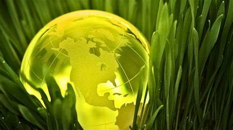 The Transformative Power of Renewable Energy - Green Collar Jobs