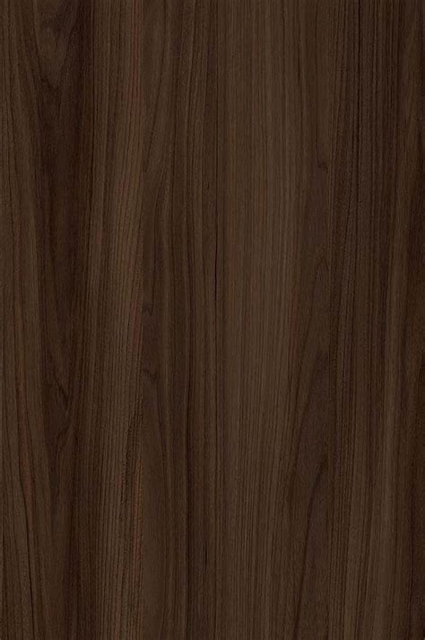 California Elm Wood: Unique Human Touch Decor | Oak wood texture ...