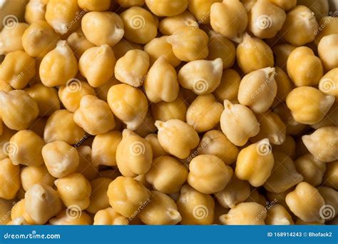 Raw Organic Garbanzo Beans Chickpeas Stock Image - Image of ingredient ...