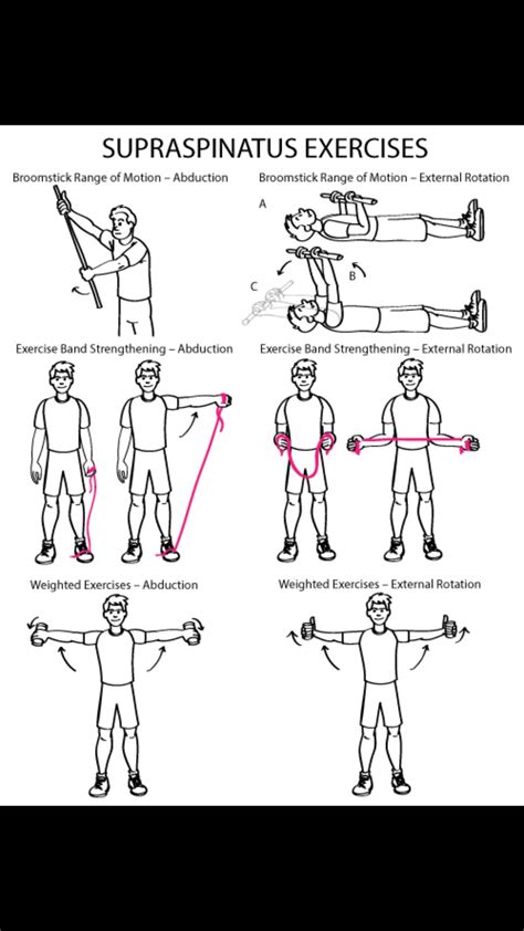 Printable Exercises For Shoulder Impingement