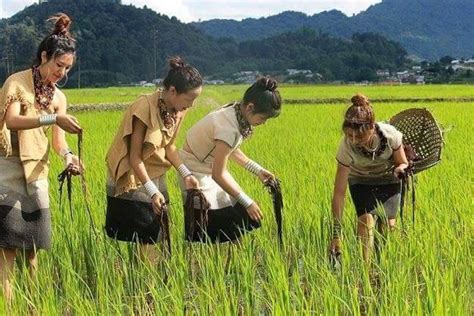 Ziro Valley Travel Guide: Explore Arunachal Pradesh's Hidden Gem