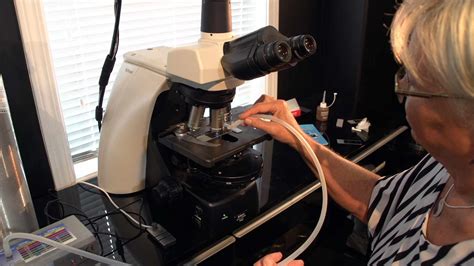 DarkField Microscope 的图像结果