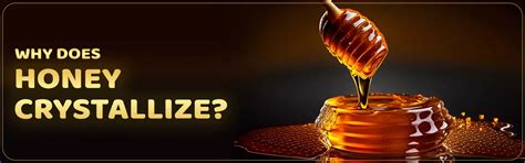 Why Does Honey Crystallize? – Ministry-Of-Nuts