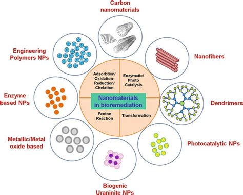 Image result for Nanoparticles Types