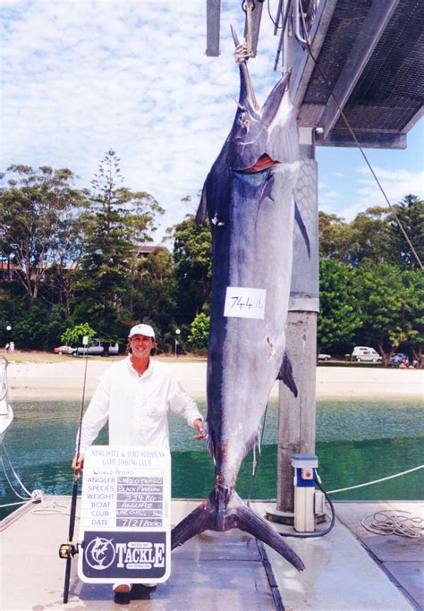 Largest Marlin Ever Caught