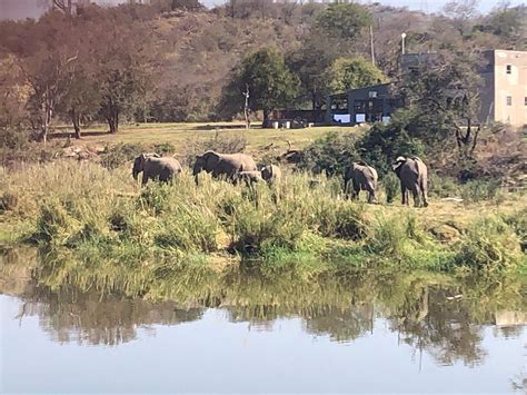 ISAMBANE CAMP (Hoedspruit) - Lodge Reviews, Photos, Rate Comparison ...