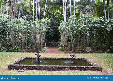 Allerton Garden - National Tropical Botanical Garden in Koloa on Kauai ...
