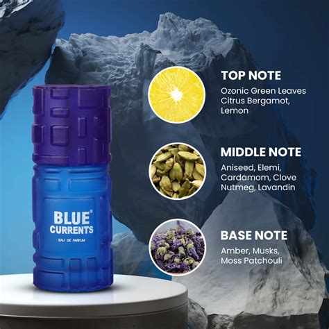 Buy ST.JOHN BLUE CURRENT LONG LASTING PERFUME FOR MEN 50ML Online & Get ...