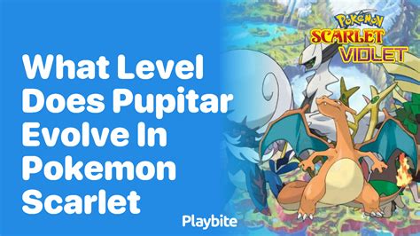 What Level Does Pupitar Evolve in Pokemon Scarlet? - Playbite