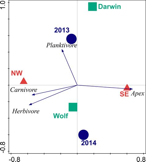Largest global shark biomass found in the northern Galápagos Islands of ...