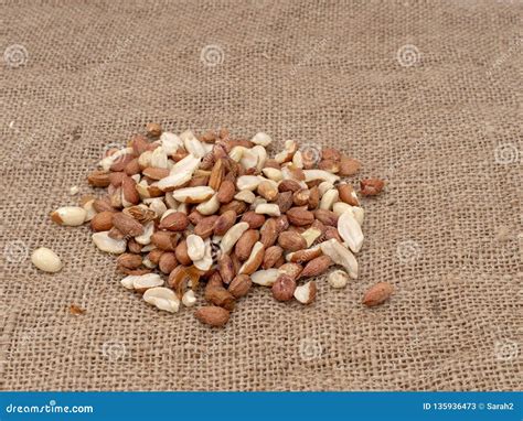 Wild Bird Food - Unsalted Peanuts, on Hessian. Help Feed Garden Birds Wildlife in Winter. Stock ...