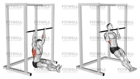 Image result for Pull Up Side View