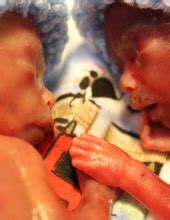 Amelia, New Richmond and Bethel, OH Funeral Home & Cremation | E.C ...