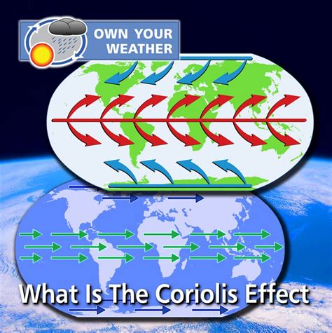 Image result for Work Cited MLA Format Guide