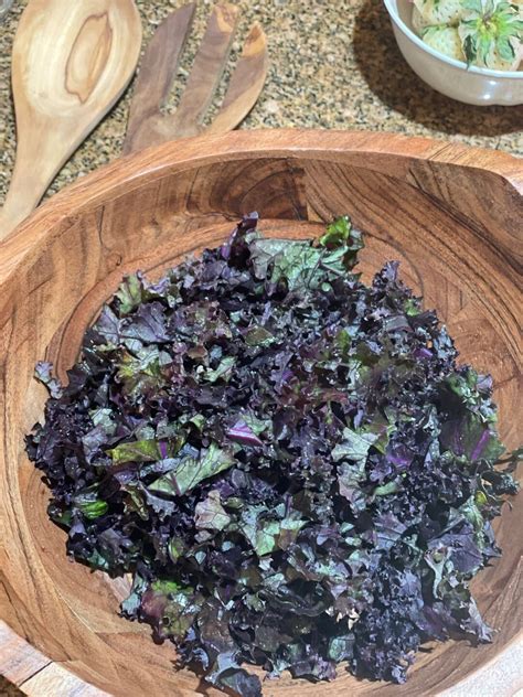 How to Make Kale Taste Good | Tina Marinaccio