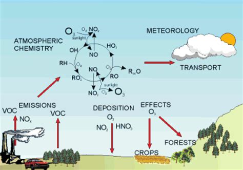 Image result for Ozone Formation