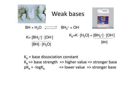 Weak Base 的图像结果