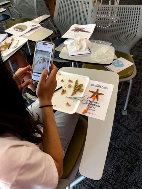 UCSD Middle School Session 1 (July 6-July 11, 2025) - Summer Springboard