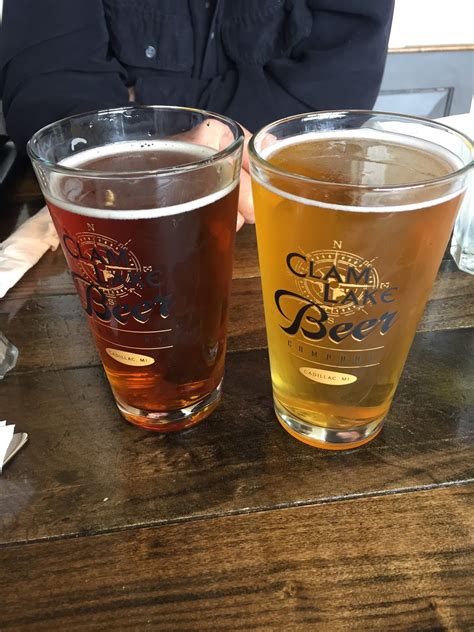 Travel Reviews & Information: Cadillac, Michigan / Mitchell State Park ...