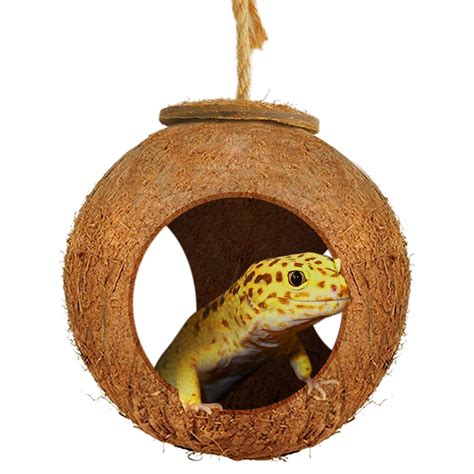 Leopard Gecko Price List