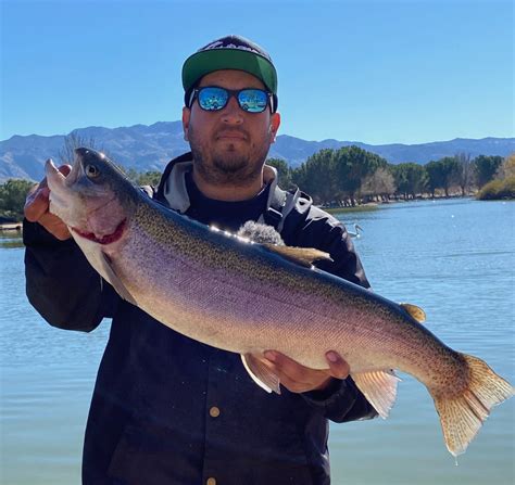 Hesperia Lake Fish Report - Hesperia, CA (San Bernardino County)