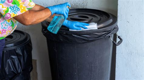Garbage bin maintenance: Keeping Waste Disposal Bins Clean