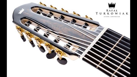 Image result for Ten-String Guitar