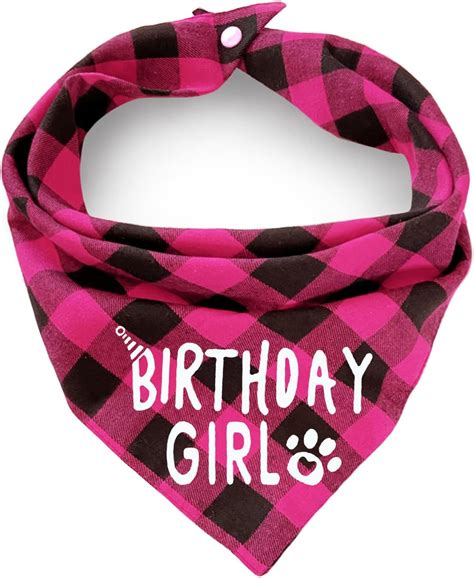 Amazon.com: Embroidered Cute Dog Pet Cat Birthday Bandana for Cats Dogs ...