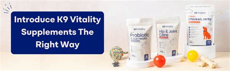 How to Start Your Dog on Supplements: Step-by-Step – K9 Vitality