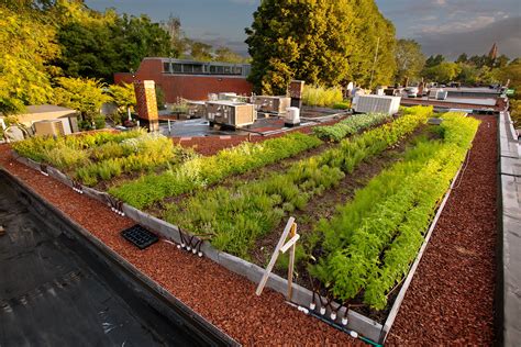 Rooftop Farms | New England Urban Agriculture — Recover Green Roofs