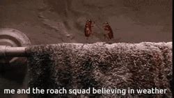 Cockroach Dance Meme 的图像结果