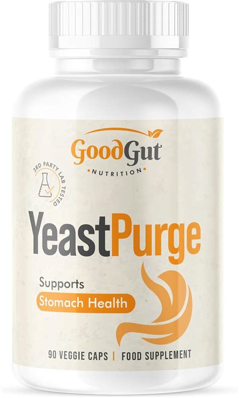 Buy Swiss Delice Products Online at Best Prices in India | Ubuy