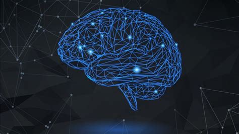 Neuroplasticity Masterclass: Unleash The Power Of Your Bra | RoyalBosS