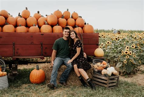Sunflower field photos at Ramseyer Farms in Wooster, OH