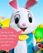 Image result for Easter Bunny Live