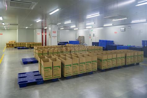 木质包装箱 - 青岛冠升木业有限公司