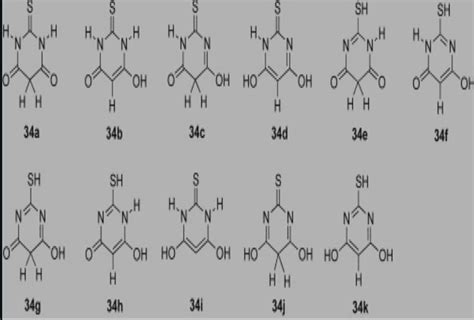 Example of amphiprotic solvent - Brainly.in
